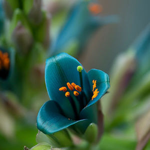 Meet your Posher, Janine